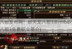 天龙八部发布网：新天龙八部3非rmb职业,新天龙八部3免费职业简介)