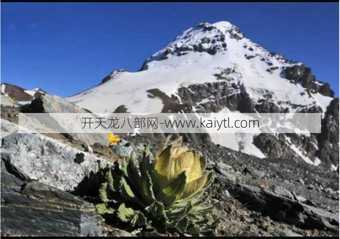 天山是否应该减少抵抗？  第1张